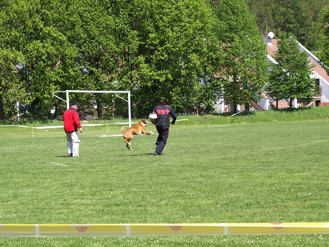 www.atibox.net * www.euroboxer.eu * www.boxergenealogia.eu
